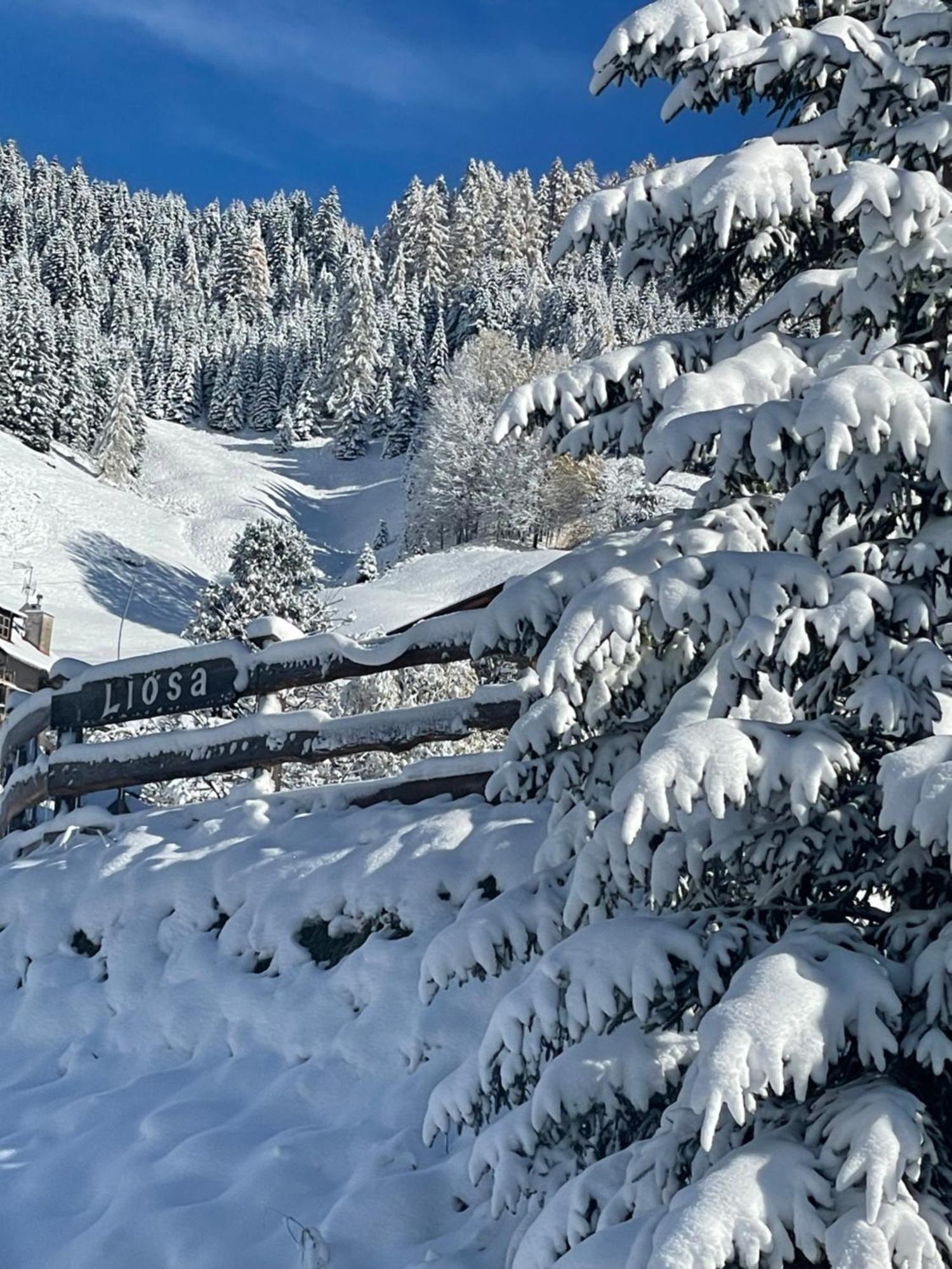 Luxury Chalet Liosa - Ski In Ski Out - Amazing View Corvara In Badia Εξωτερικό φωτογραφία